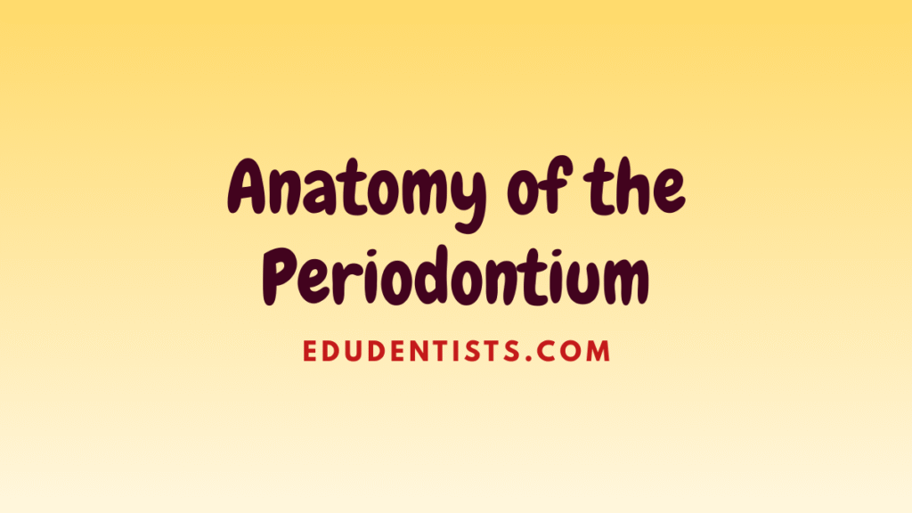 Anatomy of the Periodontium
