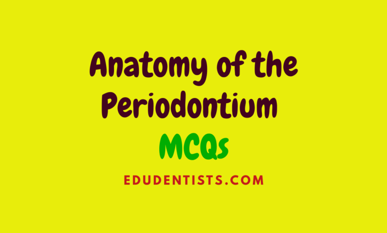 Anatomy of the Periodontium MCQs