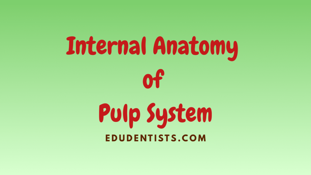 Internal Anatomy of Pulp System
