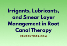 Irrigants, Lubricants, and Smear Layer Management in Root Canal Therapy